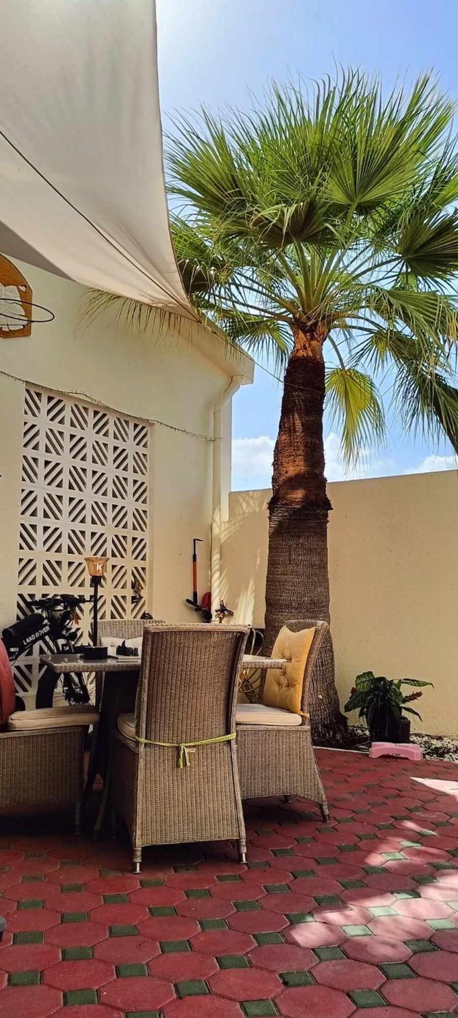 Jumeirah Beach Villa Dubai Exterior foto
